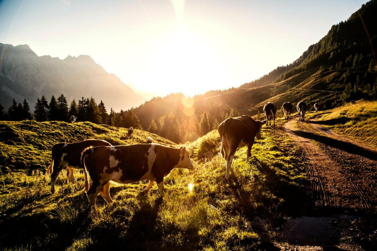 Kaiserhaus Leogang Bagian luar foto